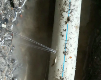 谯城卫生间测漏水多少钱