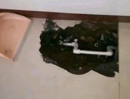 谯城卫生间测漏水多少钱